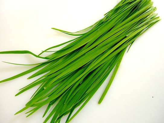 Garlic chives