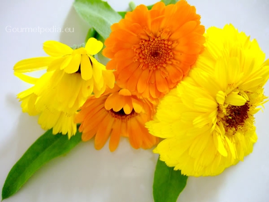 Pot marigold