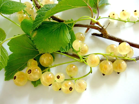 White currants