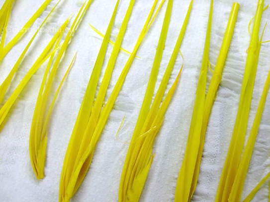 Die gefärbten Zitronengrasspalten auf Küchenkrepp abtrocknen lassen