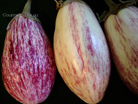 Violett eggplants