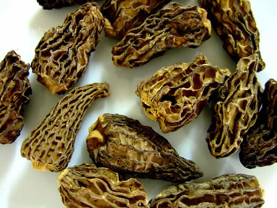 Dried morels