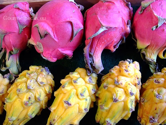 Pitahaya / Dragon fruit