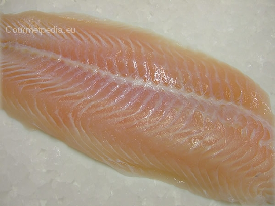 Fillet of pangasius