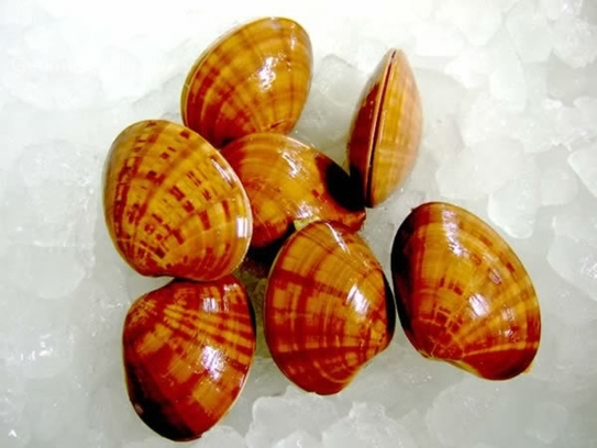 Cockles