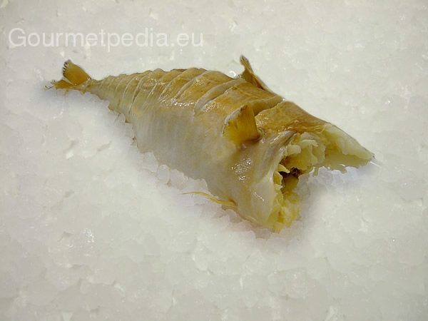 Stockfish, all about fish on Gourmetpedia