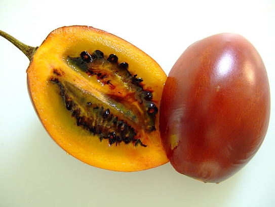 Tamarillo