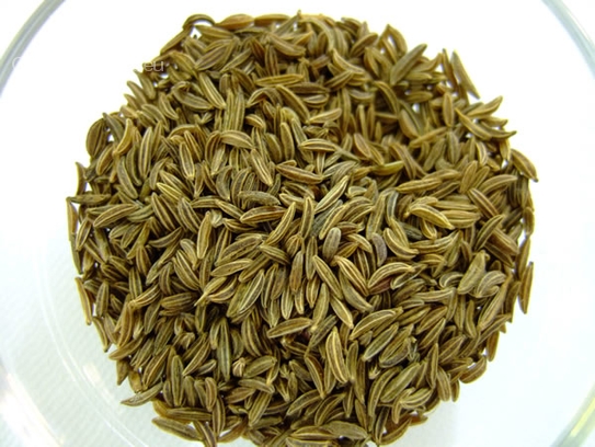 Caraway