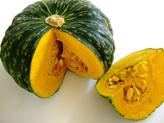 Moschus pumpkin