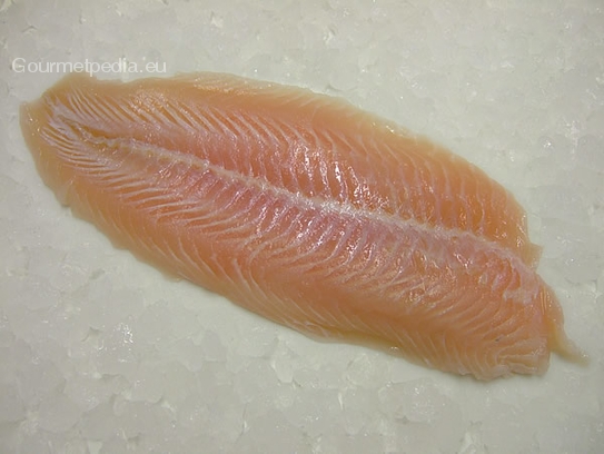 Fillet of pangasius