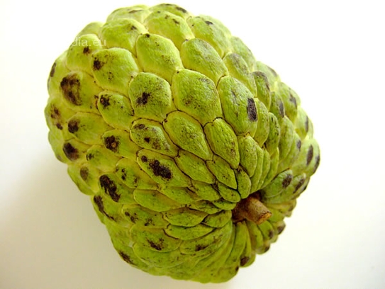 Sweetsop/Sugar Apple