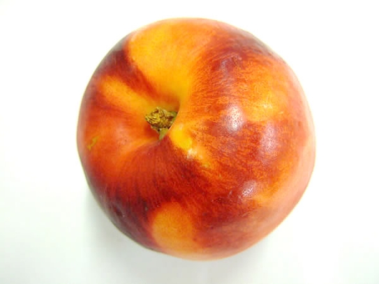 Nectarine