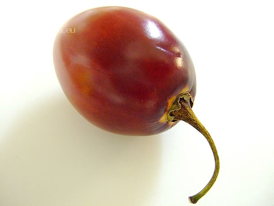 Tamarillo