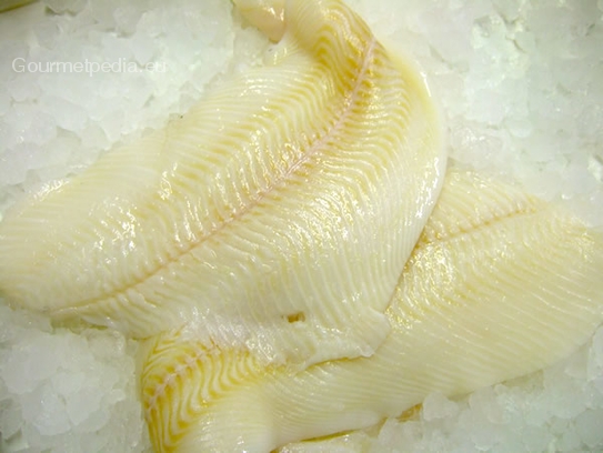 Fillet of halibut