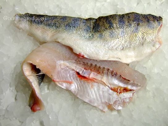 Pike-perch