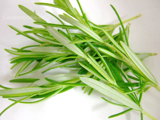 Rosemary