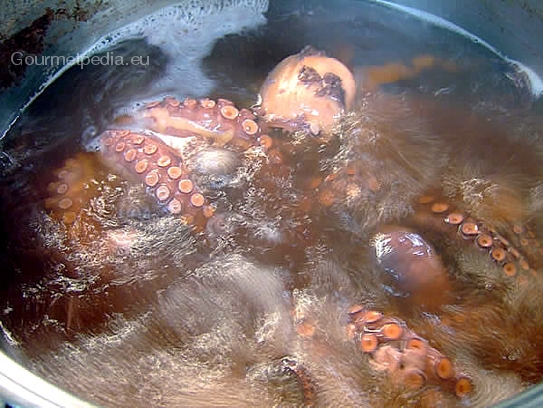 Den Octopus zum Kochen bringen und je nach Größe für ca. 45 Minuten bis 1 Stunde kochen lassen