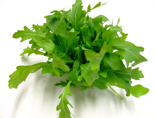 Rucola / Rocket