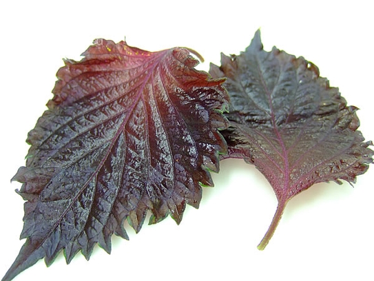 Red Shiso leaves