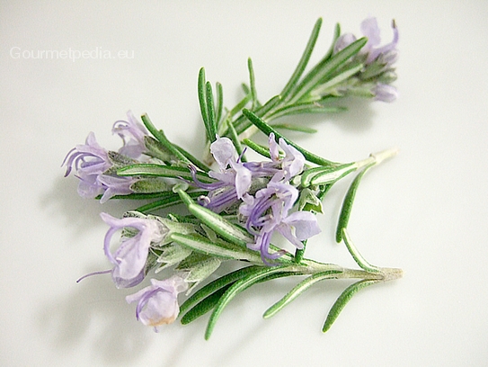 Rosemary