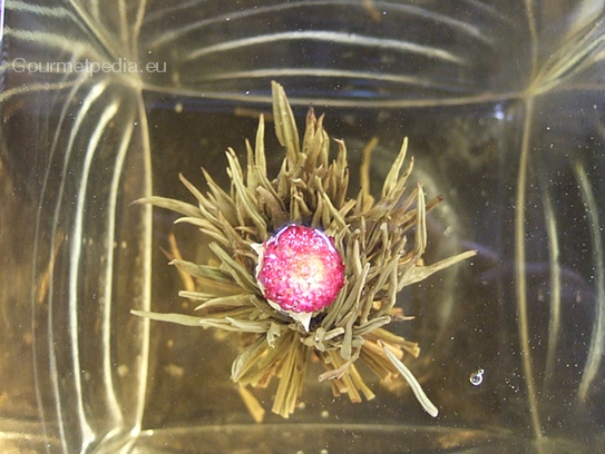 Dried Jasmine flower