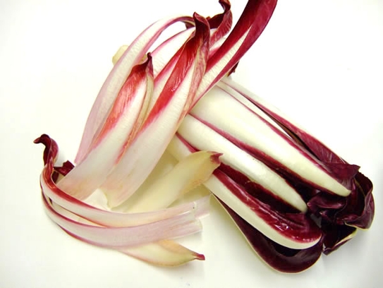 Radicchio