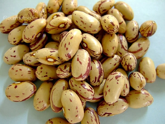 Borlotti beans