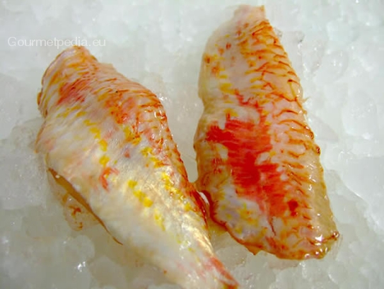 Red mullet