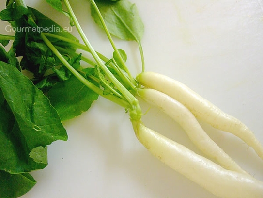 White finger radish