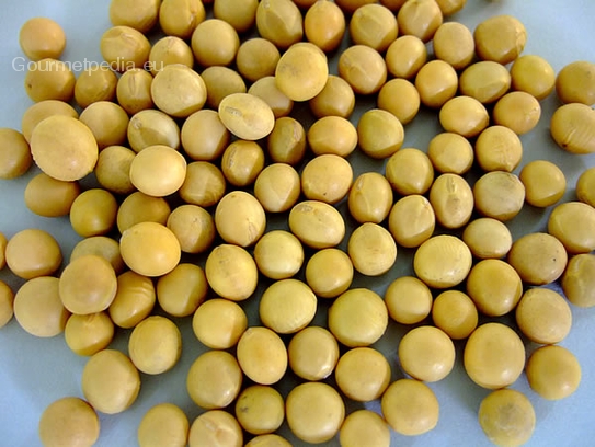 Soybean