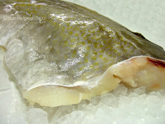 Fillet of codfish