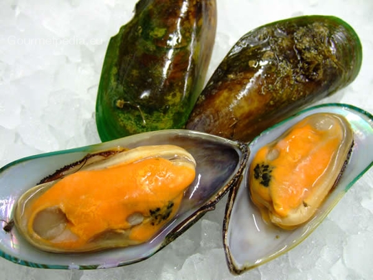 Greenlip mussels