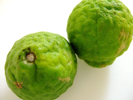 Kaffir lime