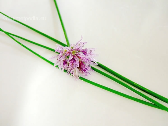 Chive blossoms