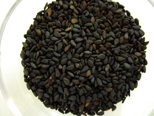 Black sesame