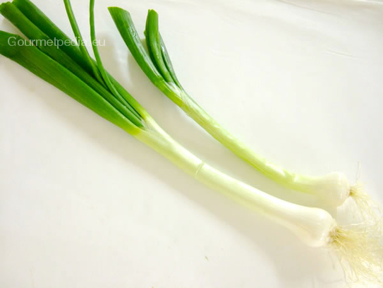 Spring onions