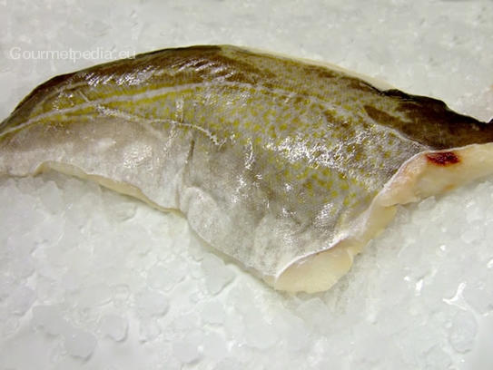 Fillet of codfish