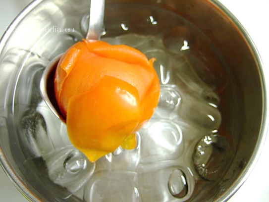 Tomaten in kochenden Wasser kurz eintauchen bis sich die Haut zu lösen beginnt, anschließend in Eiswasser abschrecken