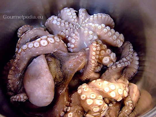 Den Octopus kurz kalt abwaschen und in einen hohen Topf legen