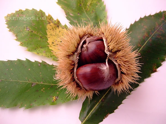 Chestnuts