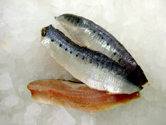 Sardinas