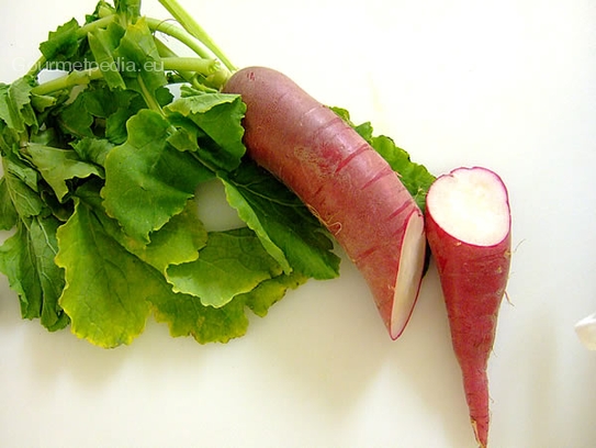 Red radish