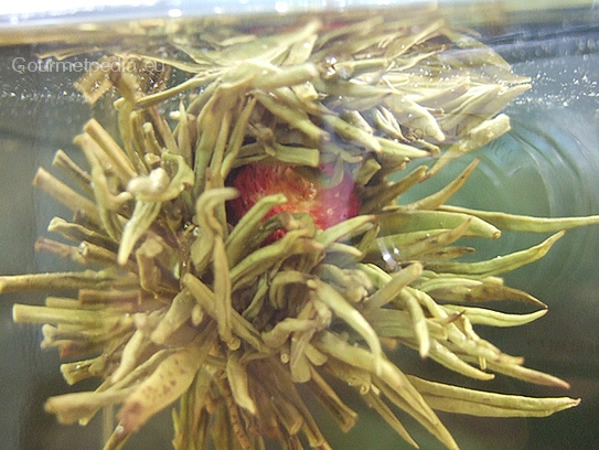 Dried Jasmine flower