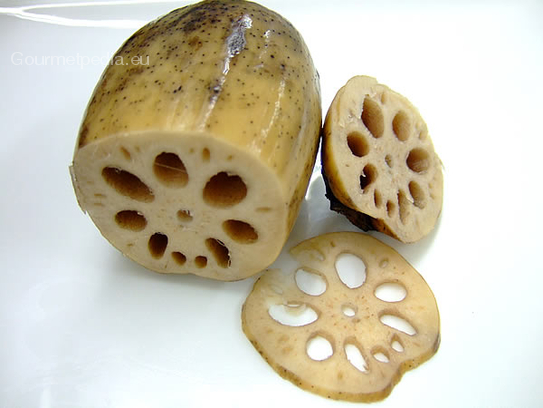 Lotus root