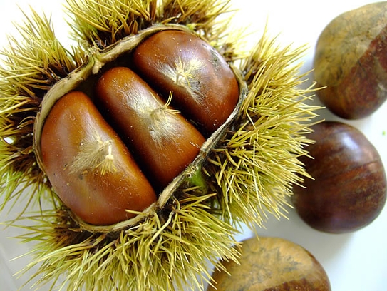 Chestnuts