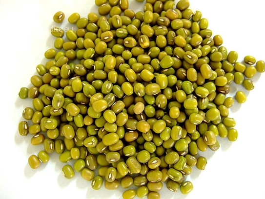 Mung bean