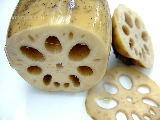 Lotus root