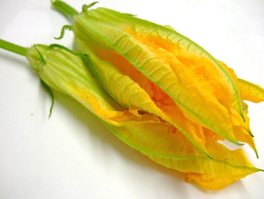 Squash blossoms