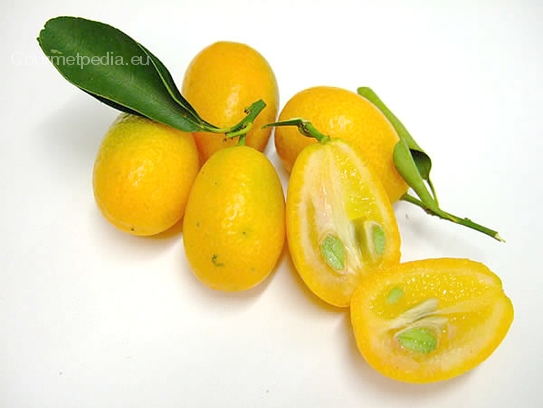 Kumquat