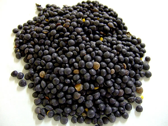 Black lentils